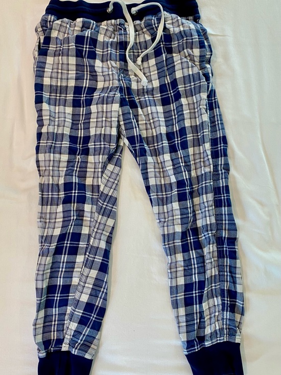 American Eagle Outfitters Other - American Eagle Outfitters Blue and White Plaid Lounge Pants
